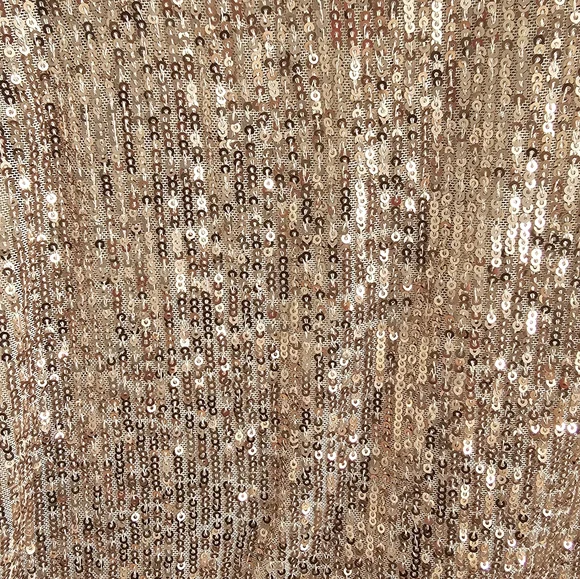 Free People Sequin Long Sleeve Top | Rose Gold | Medium - Picture 2 of 3